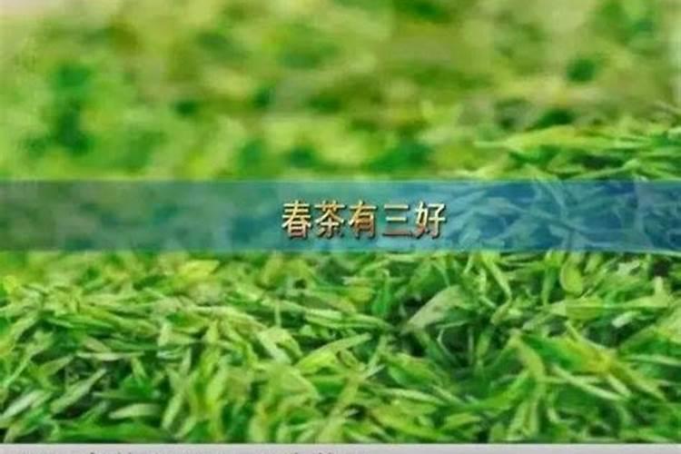 秋冬季节茶树地上进入休眠期,茶园冬季管理有哪些要点？