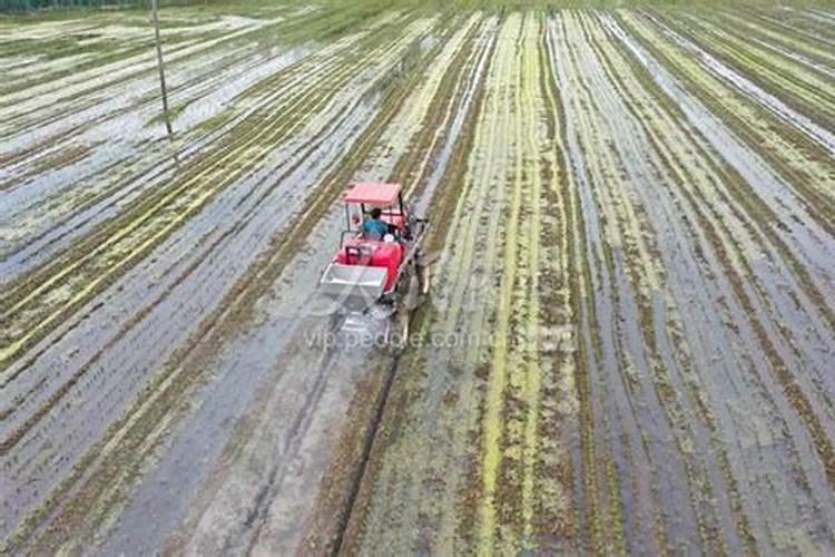 水溶肥那一个厂的好