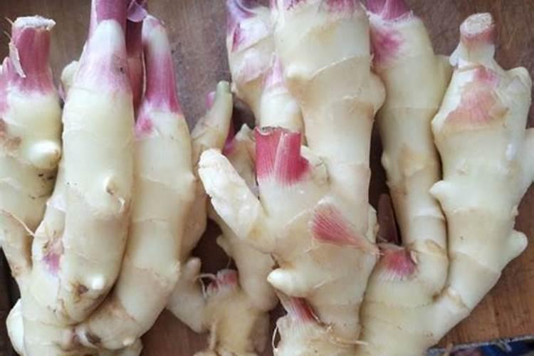 种类繁多的叶面肥,到底该怎么选择？