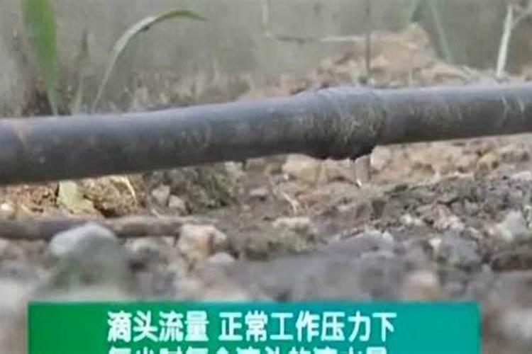 两种化肥用在滴灌结块怎么办？