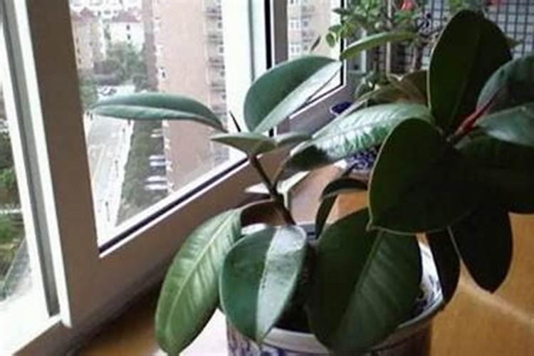 芥菜施用含氯复合肥可以吗？