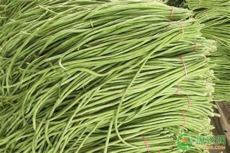 一年之内碧护可以用几次呢