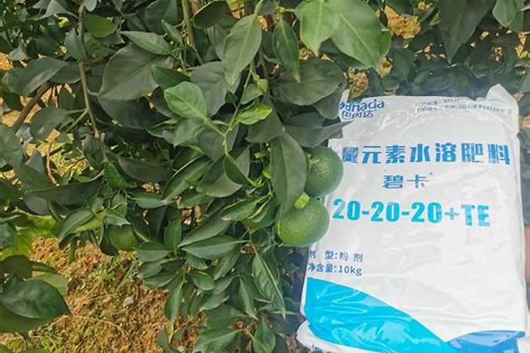 柑橘专用叶面肥哪个好？柑橘专用肥用什么好？柑橘肥料用“昆仑风”百度...