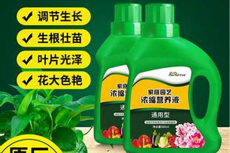 如何用磷酸二氢钾肥来养护绿植