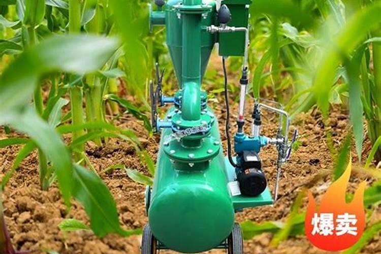 夏天番茄苗期能冲高磷肥吗