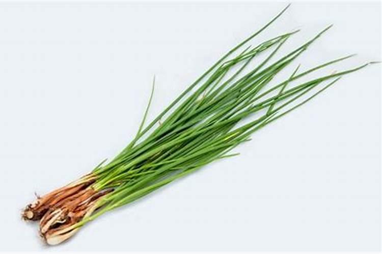 桃树冬天多久浇一次水