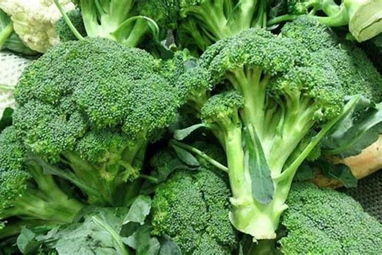 黄腐酸使用大忌