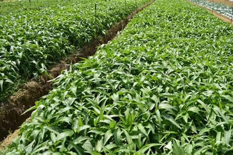 金土地建设集团有限公司电话是多少？