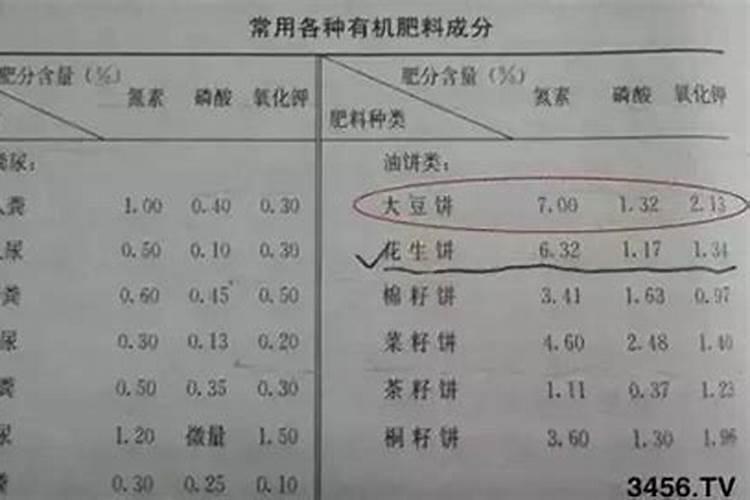 大蒜追肥用什么肥料
