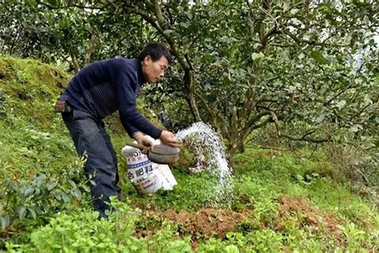 金正达掺混肥料能同氨基酸复合肥硅锌活力氮肥混用吗