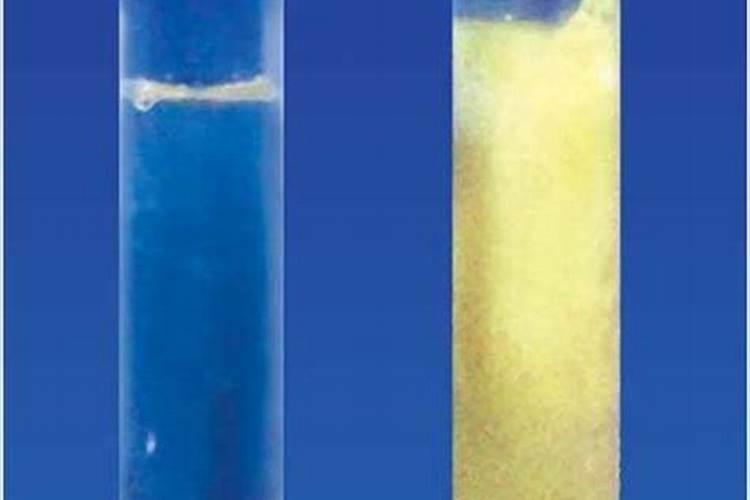 有机肥生产算是科创公司吗