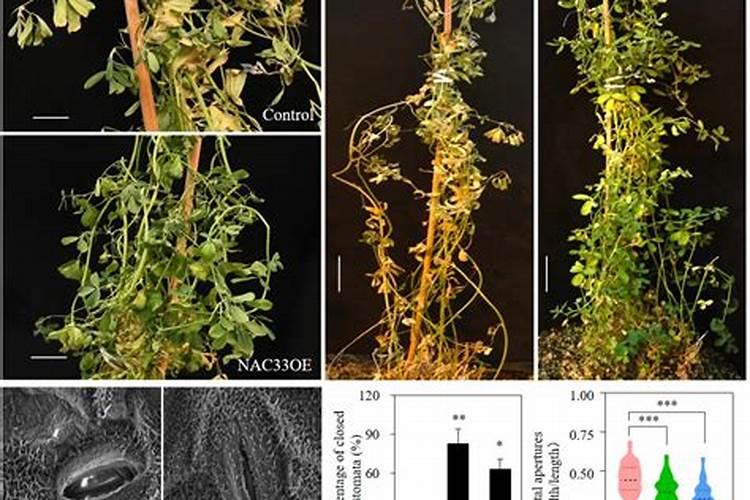 我想开家干洗店,可是没有任何经验怎么办呢