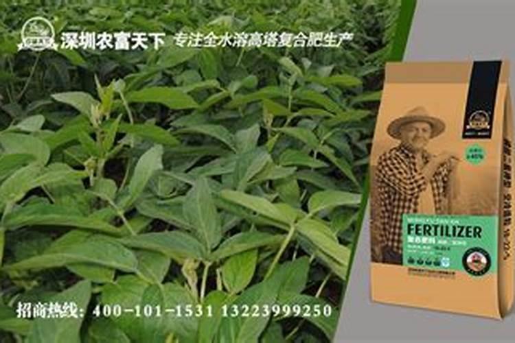 豌豆什么时候种植 豌豆的施肥方法