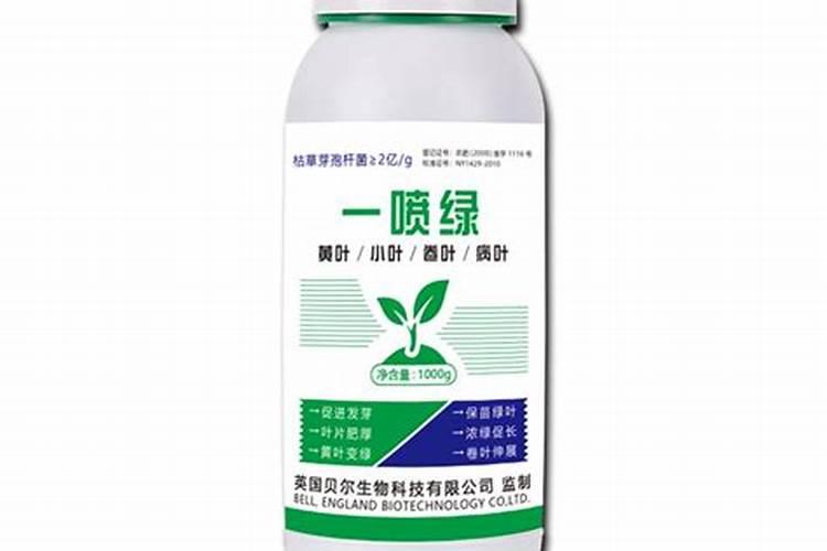 植物施肥用什么肥料好;家庭养花十大最好花肥