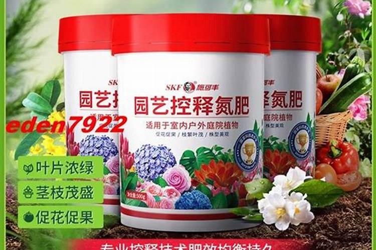 柿饼在晒的过程中发霉了怎么办