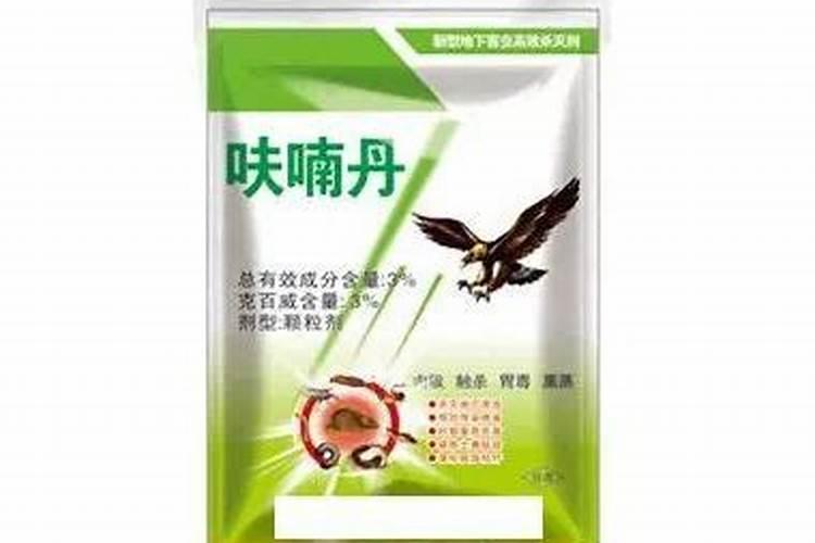把姜叶割了可以增产吗？