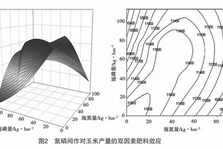 春季山药用什么肥料？