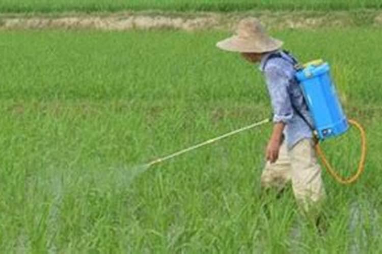 井冈霉素三晚唑磷酸二氢钾在水稻已经收花湾头了可以混用吗？