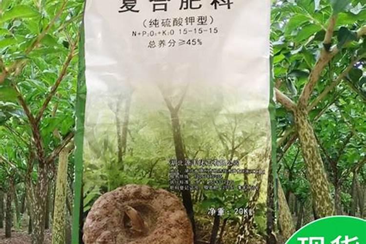 洋芋打什么叶面肥
