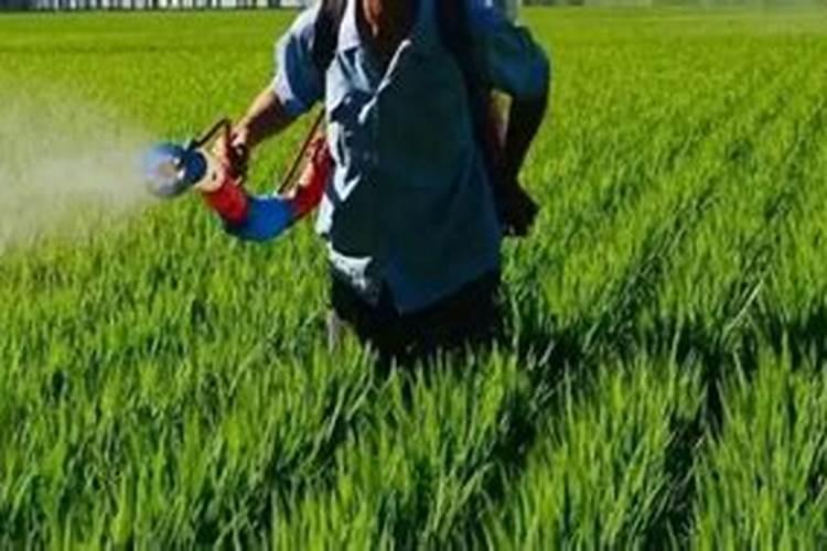 微量元素不能和哪些农药混配