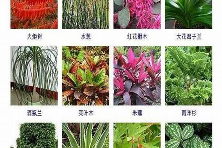 氮磷钾肥施用口诀