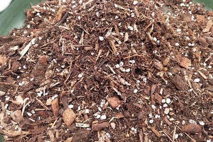 油枯不发酵可以直接当肥料吗