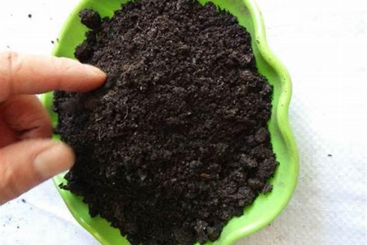 番茄喷花四要点