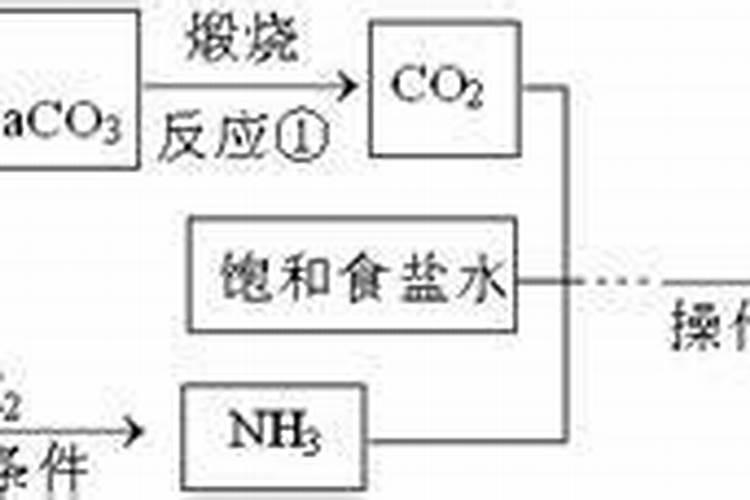 月季打花苞的时候能不能施肥