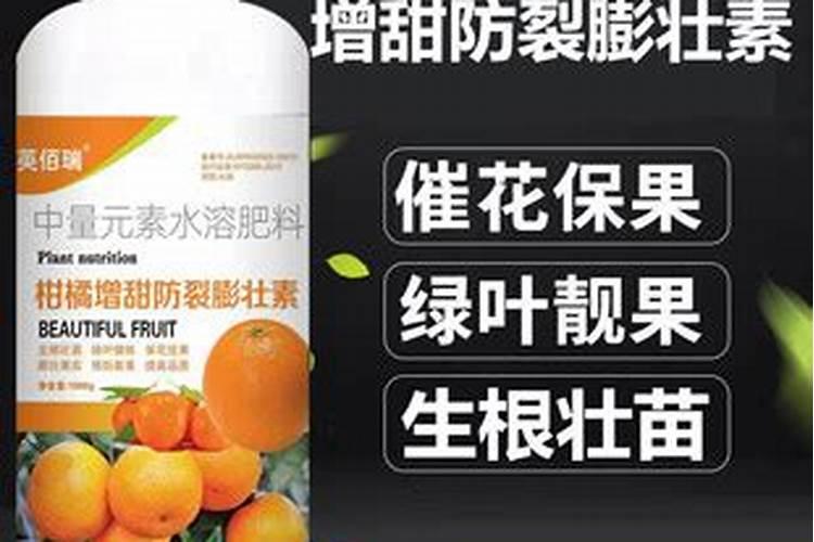 月季花苞没开就枯萎了是什么原因
