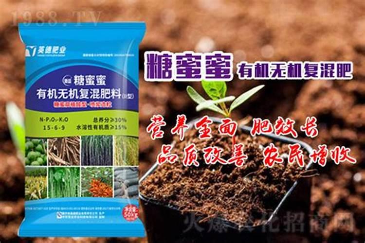 金银花施肥技术？