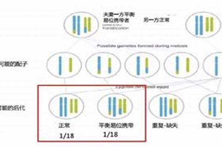 微量元素肥料都是什么？哪家好？