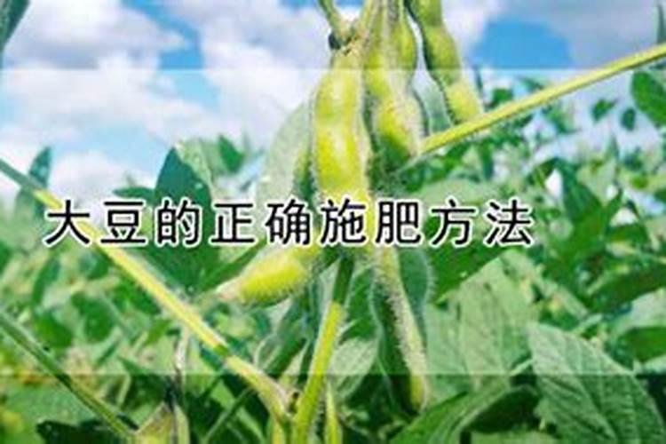 豆子用什么肥料产量高？