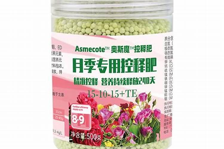 怎么让兰花抽花箭开花苞