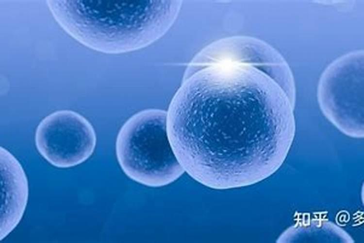 玉露多久浇一次水多久施一次肥