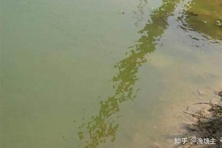 西红柿产地分布在哪？西红柿市场上卖多少钱一斤？