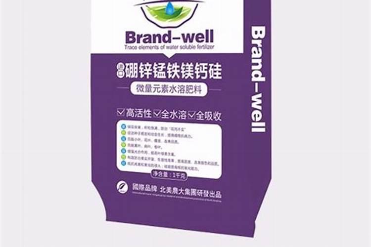 重庆麒麟果苗