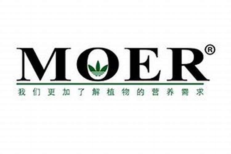 谷子叶面肥啥时候喷好 用什么叶面肥增产