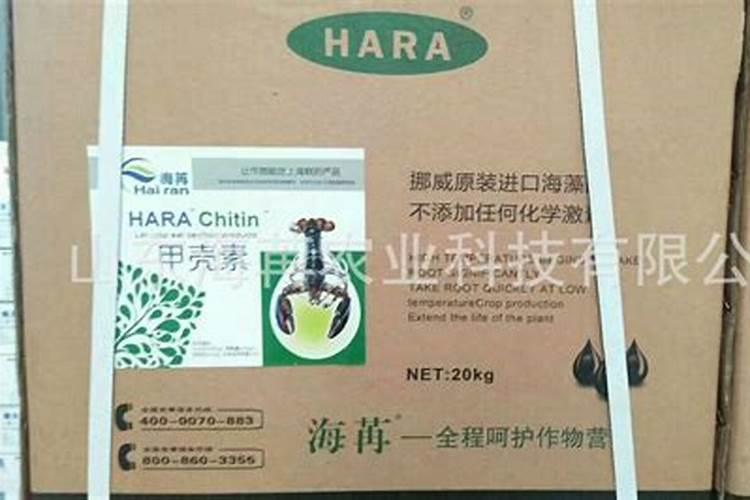 硫酸钾型肥料能养多肉吗