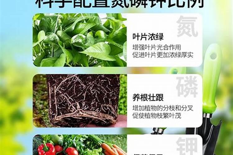 芸苔素混用什么最好