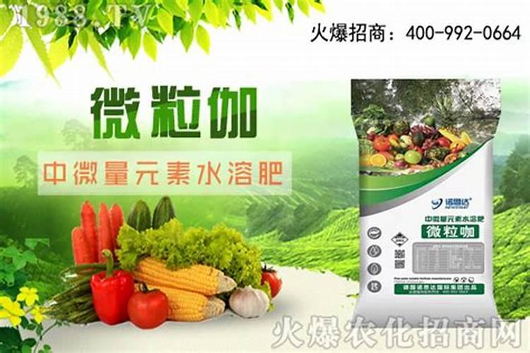 抛秧盘怎样育苗,插秧和抛秧各有什么优缺点