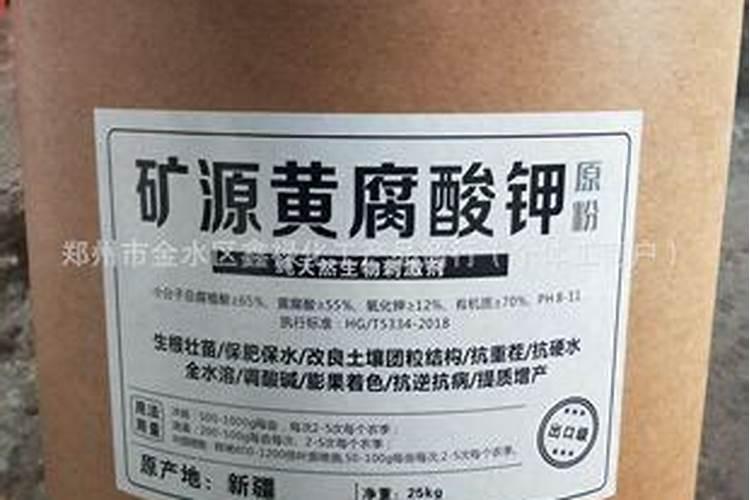 风格、“农鞋”的乌托邦色彩与海德格尔