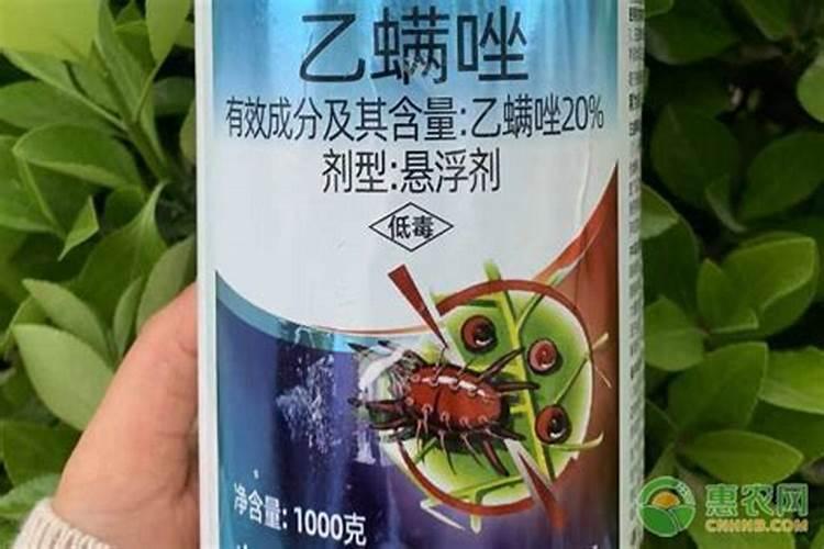 茄子的结果期是如何进行管理的？