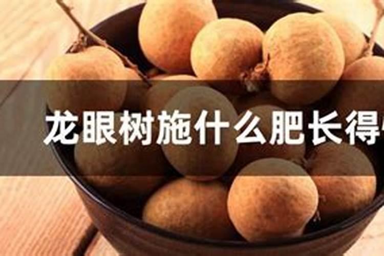龙眼树施什么肥长得快