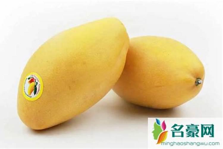 芒果套袋的正确方法,套袋用什么材料