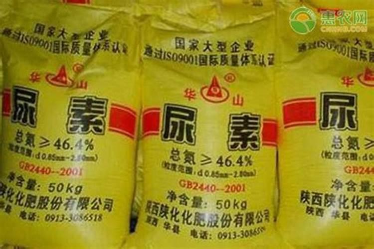 如何使用大豆发酵的肥水浇花？