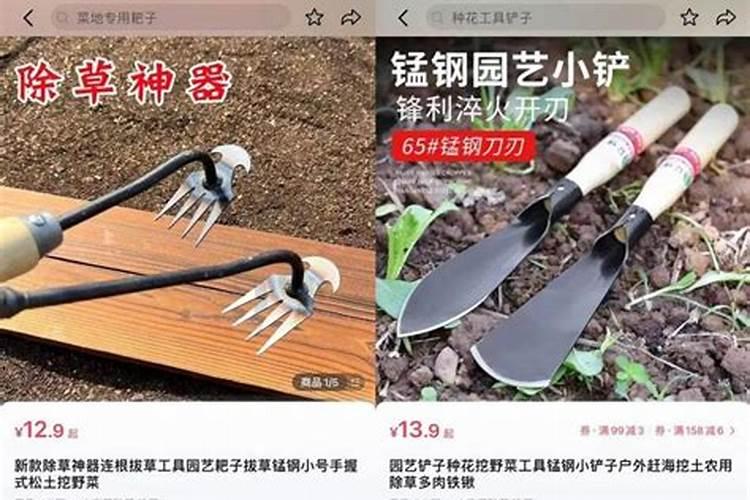 中国名牌肥料免检都是有哪 些