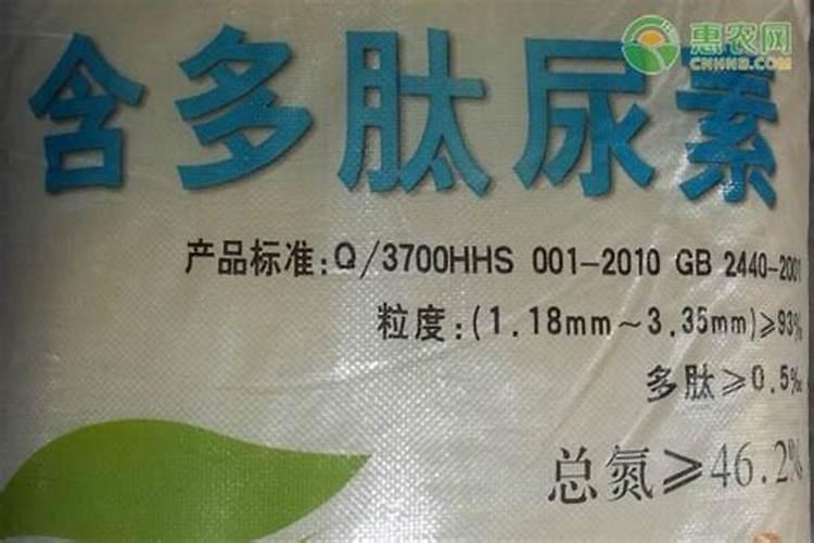 小番茄种植方法和时间