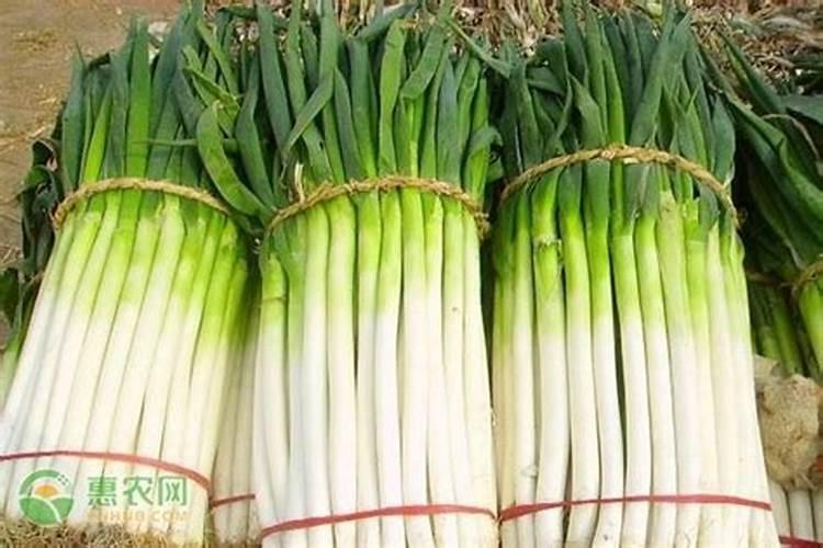 巴彦淖尔最大的批发市场