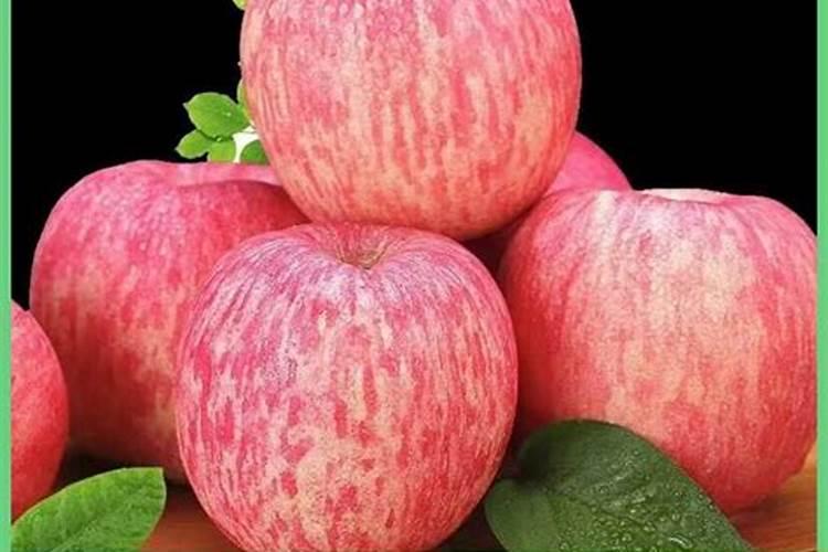 薏仁米的种植条件和环境？