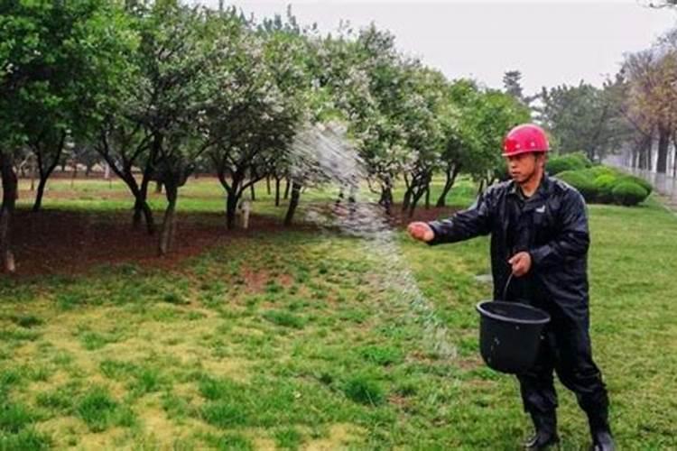 园林树木秋季管养之浇水、施肥、防寒